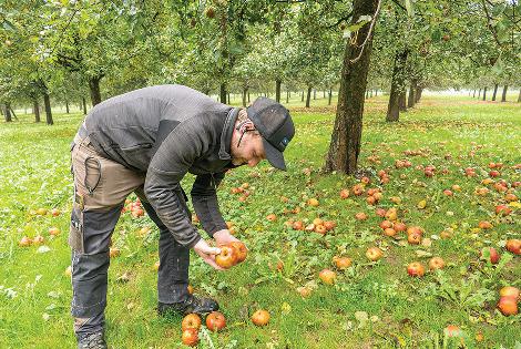Switzerland: Holderhof Produkte - (Versão em inglês)
