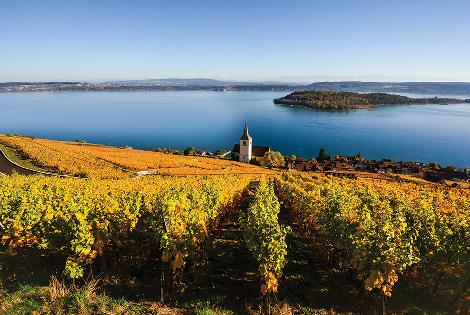 Switzerland: Holderhof Produkte - (Versão em inglês)