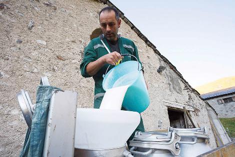 Italy: Latteria Sociale Valtellina - (Versão em inglês)