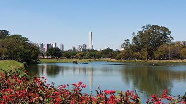 Brasil: Fonte Platina